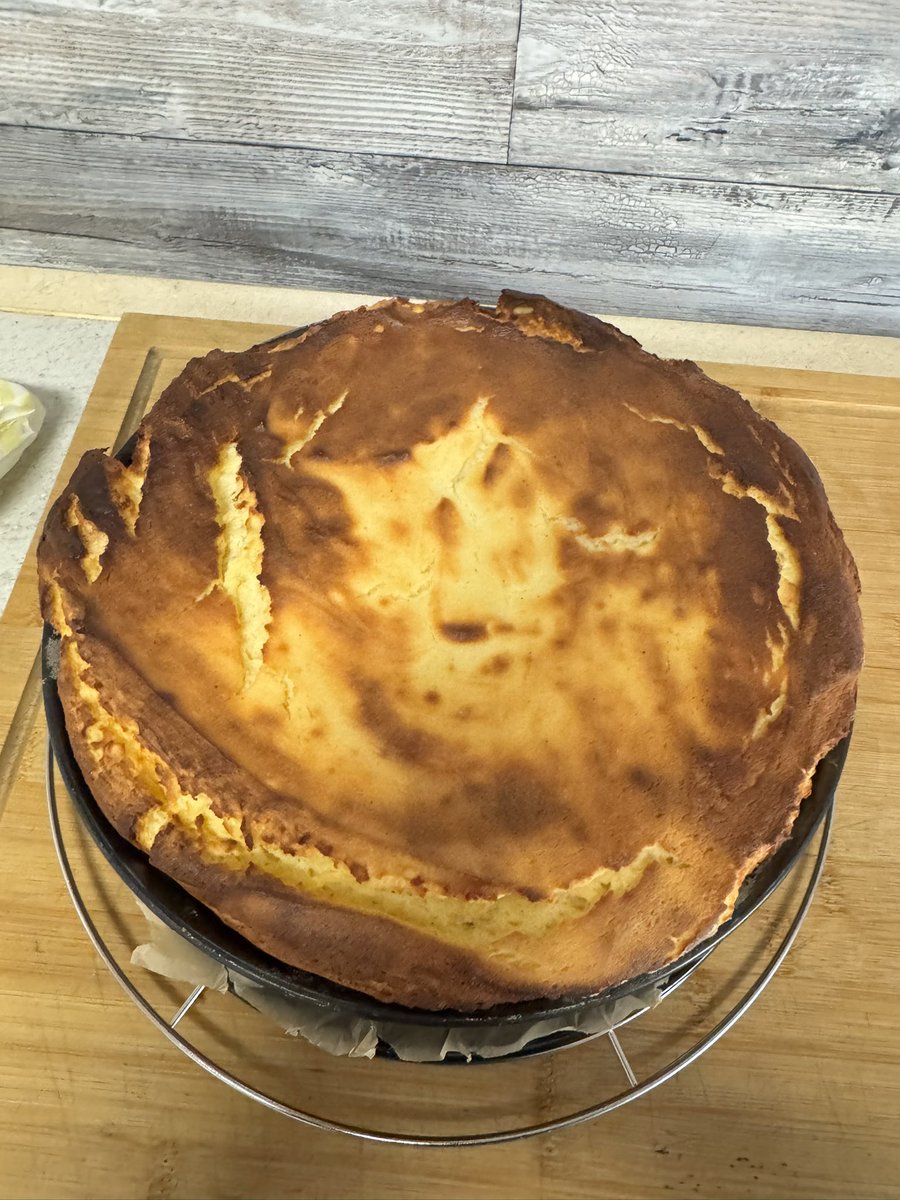 Big M 🦮🐾🦮🐾  tweet media