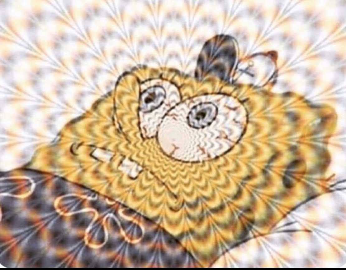 Me: Hits my elbow

My entire nervous system: