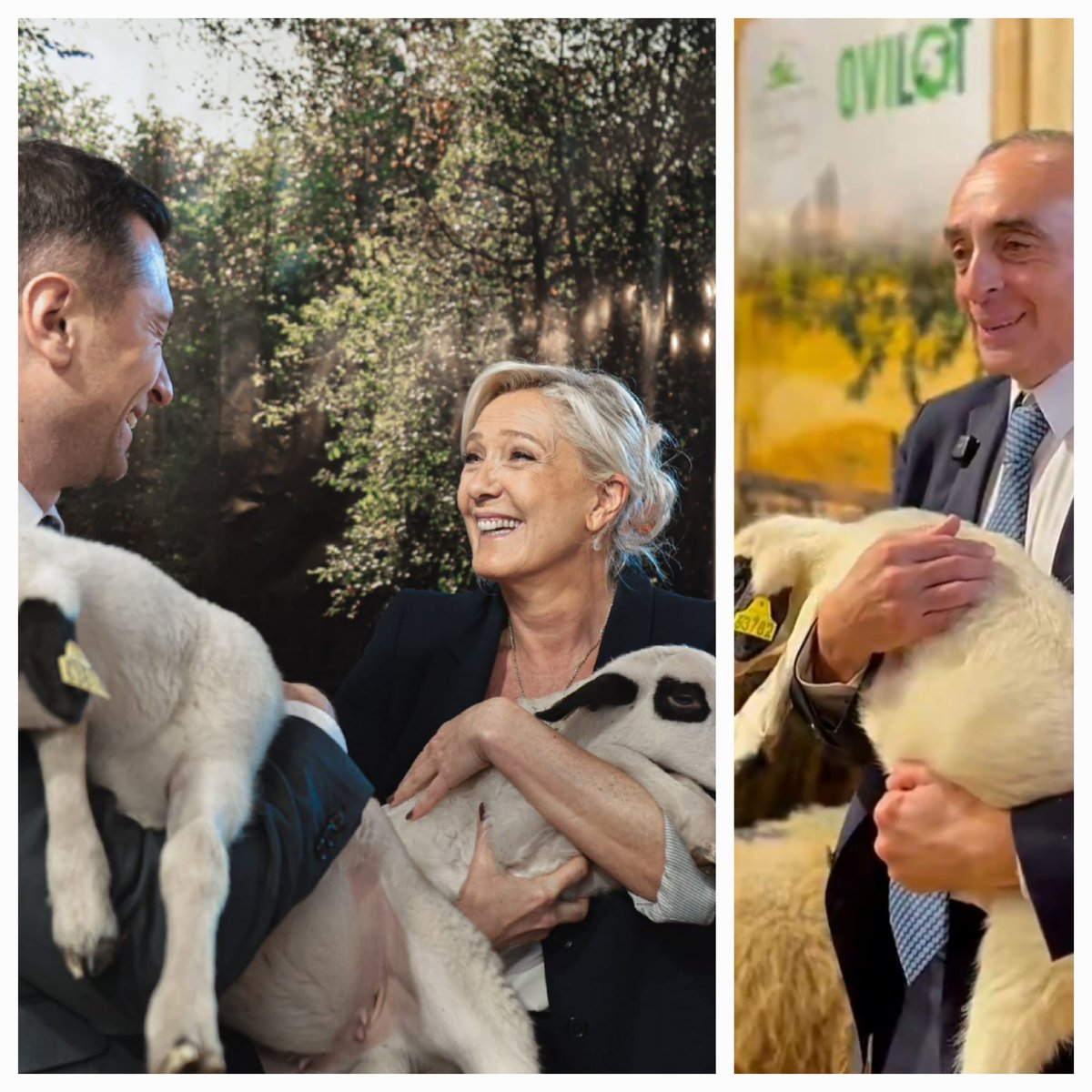 n_arthaud's tweet photo. Grande tradition au #SalonDeLagriculture 
L'opération pelotage du 🐑 ... pour mieux tondre l'électeur !
Pen, Bardella, Zemmour experts en la matière. https://t.co/lO0caWmmqz