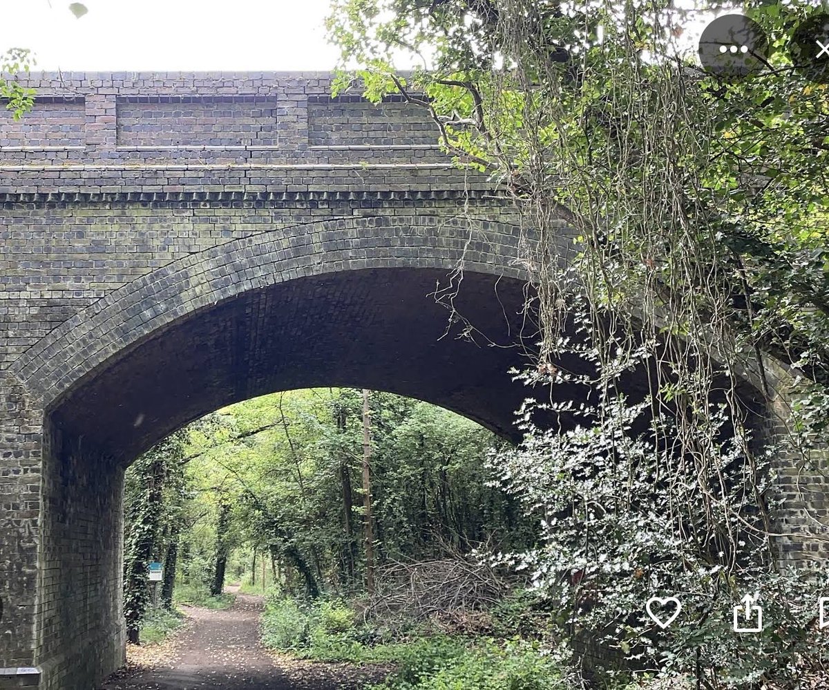 Luise #muddyankles 🏴🏳️⚧️🏳️🌈🇺🇦 tweet media