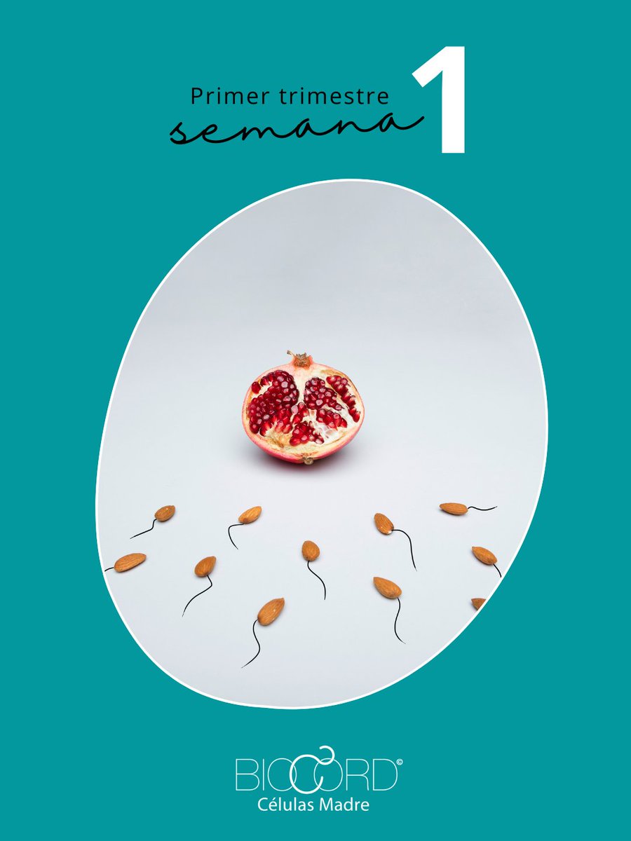 Semana 1🤰En realidad todavía no estás embarazada.
El cuerpo empieza a preparar un nuevo óvulo y el útero comienza a engrosar su revestimiento para una posible implantación.

#embarazosemanaasemana #embarazo