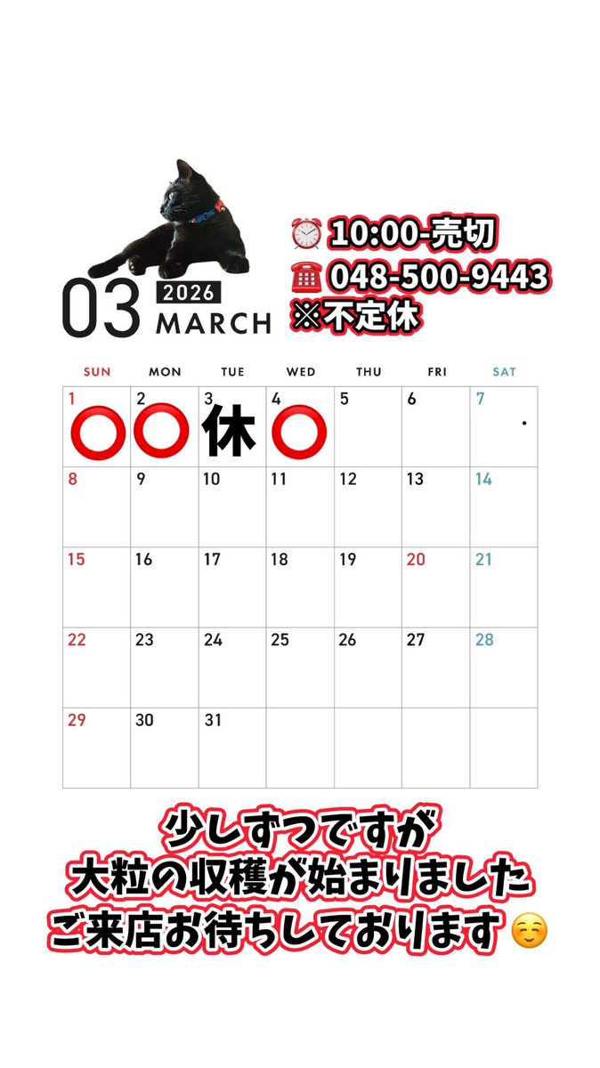 クロス@深谷市農家吉田さんち（株）🌱🐈‍⬛🌽 (@Kurosu_iturn) / Posts / X