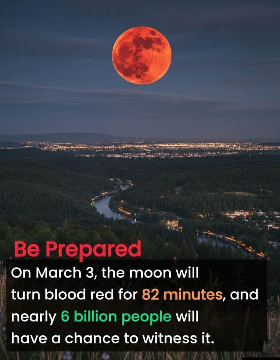 Fancy Ray McCloney tweet media