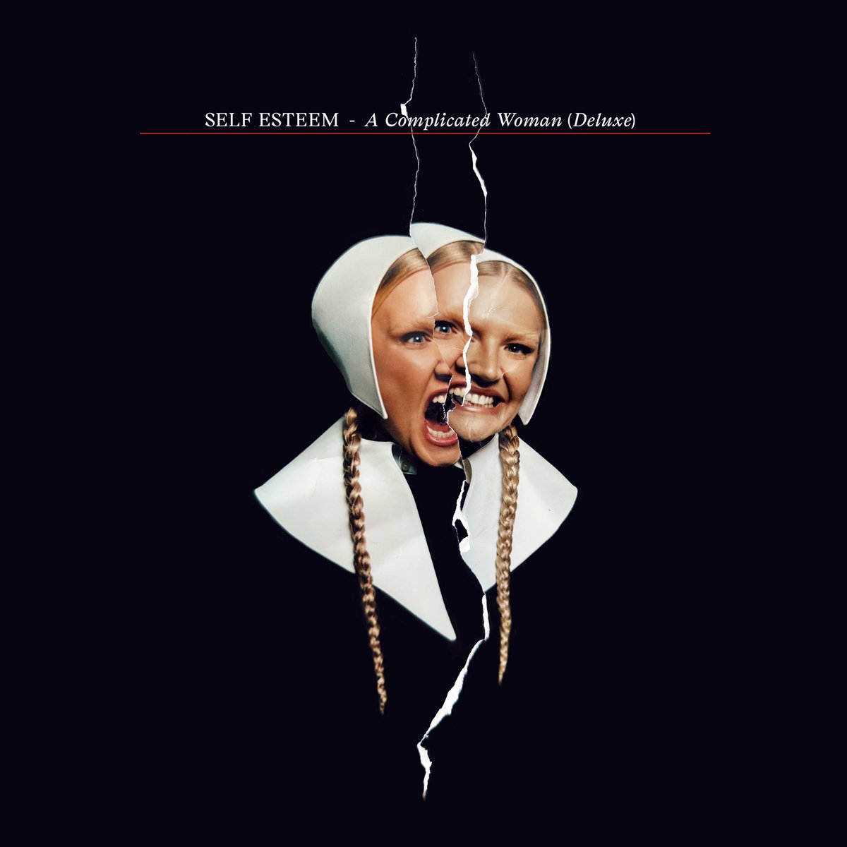 Self Esteem tweet media