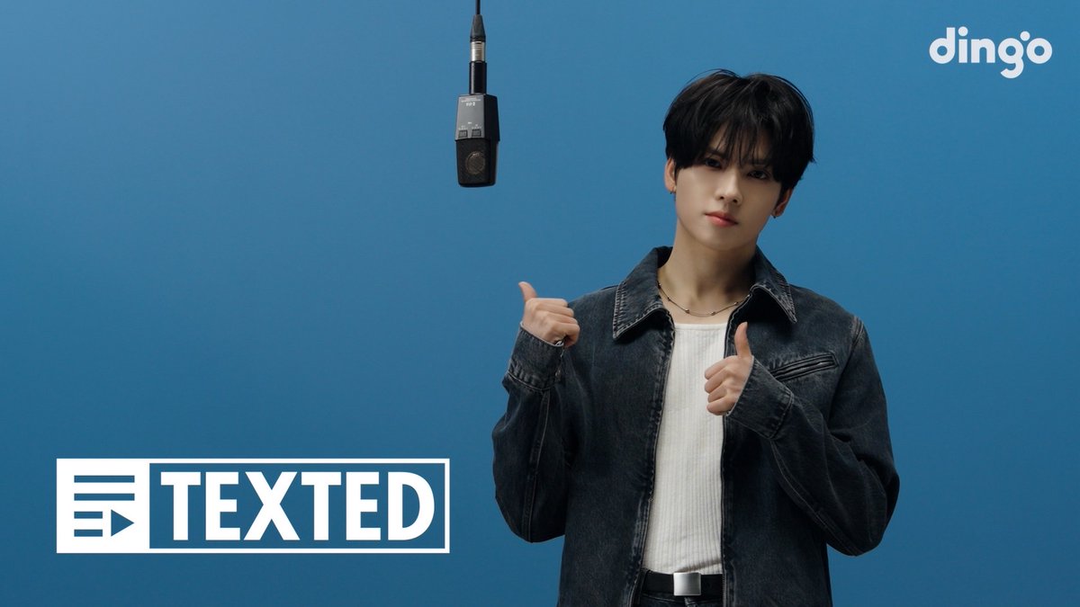 dingo(딩고) tweet media