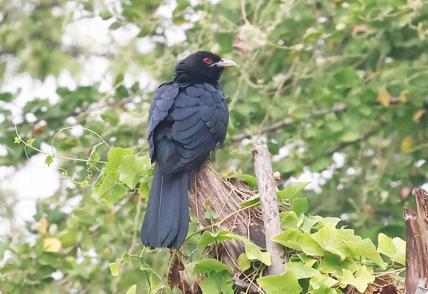 Nick Upton tweet media