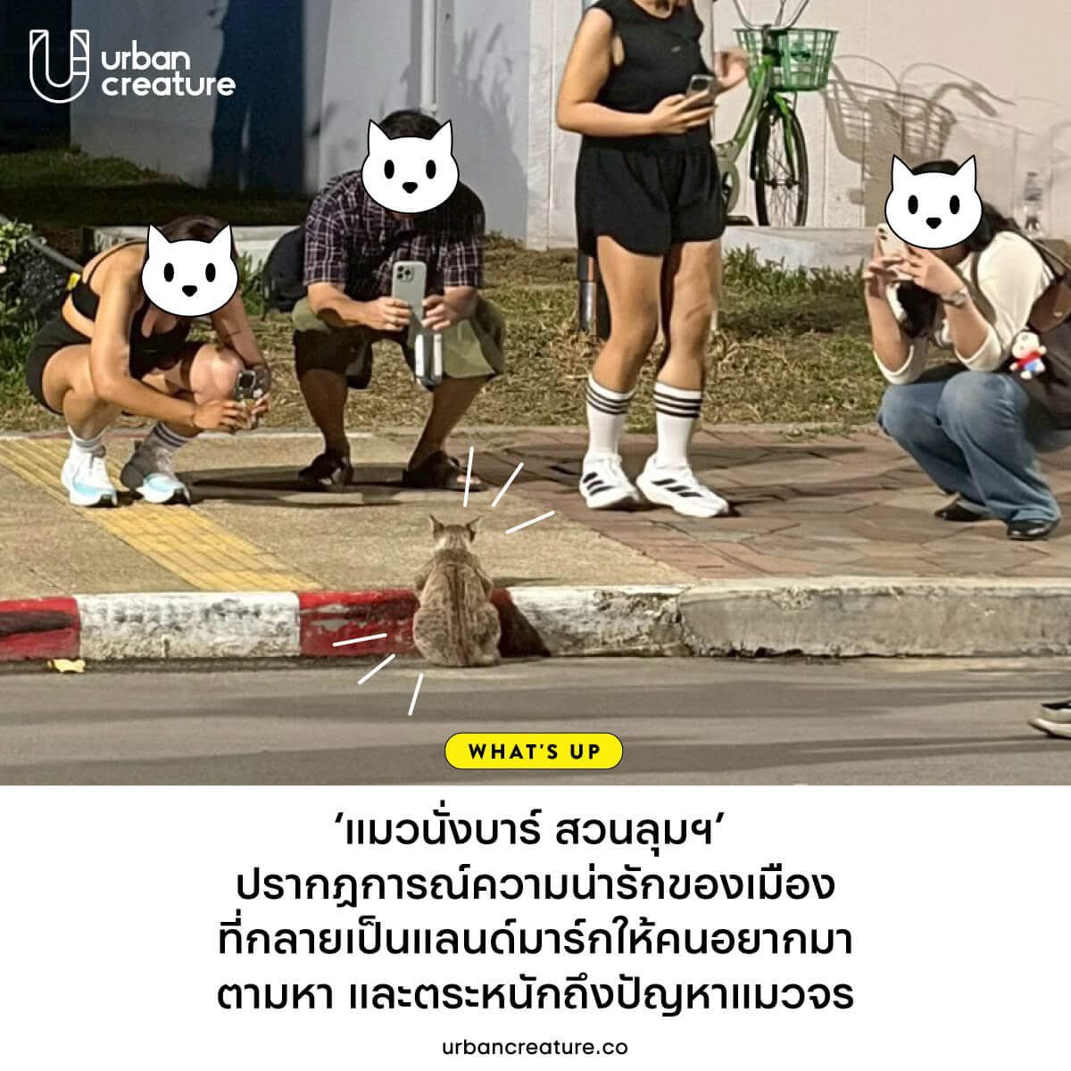 น้องนั่งบาร์ ใช้ความดังขับเคลื่อนสังคมไปอี้กกกก เริ่ดเลยแหละ 🥹