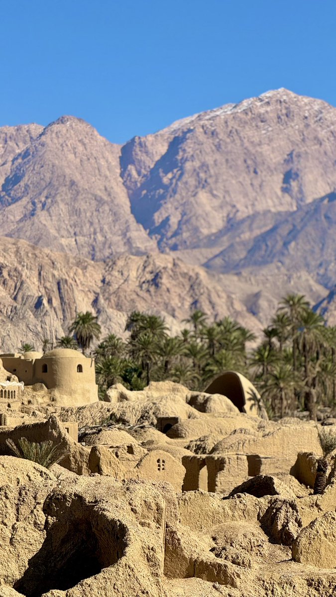 Ali Salehi tweet media