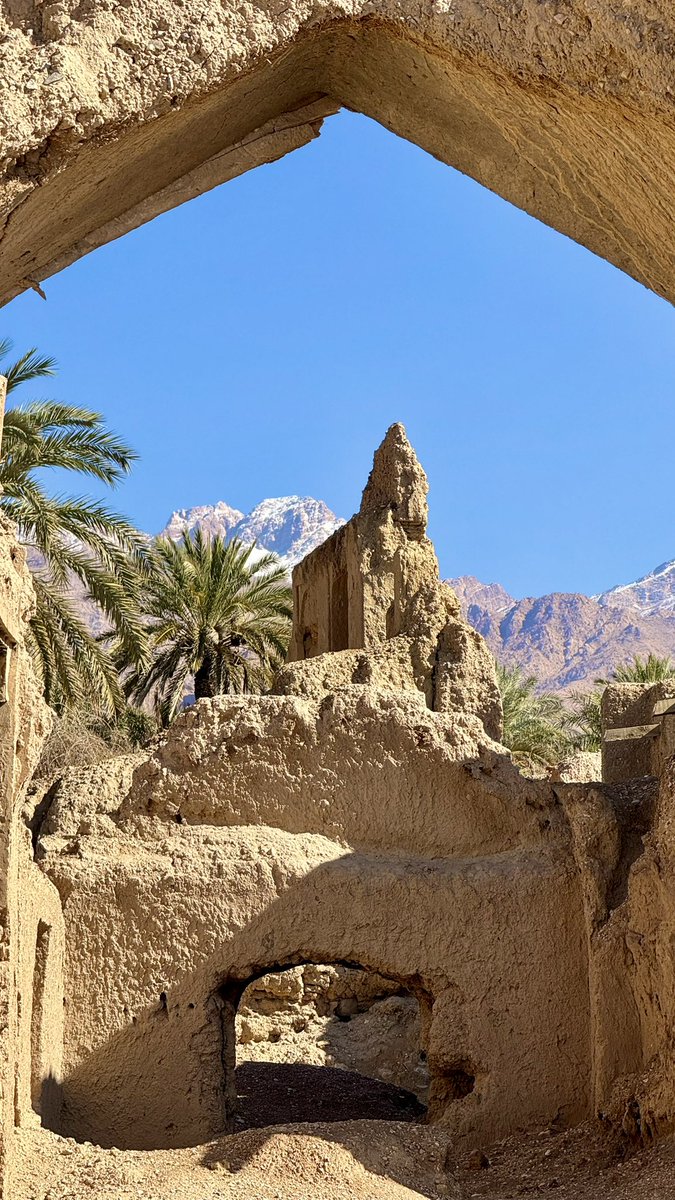 Ali Salehi tweet media