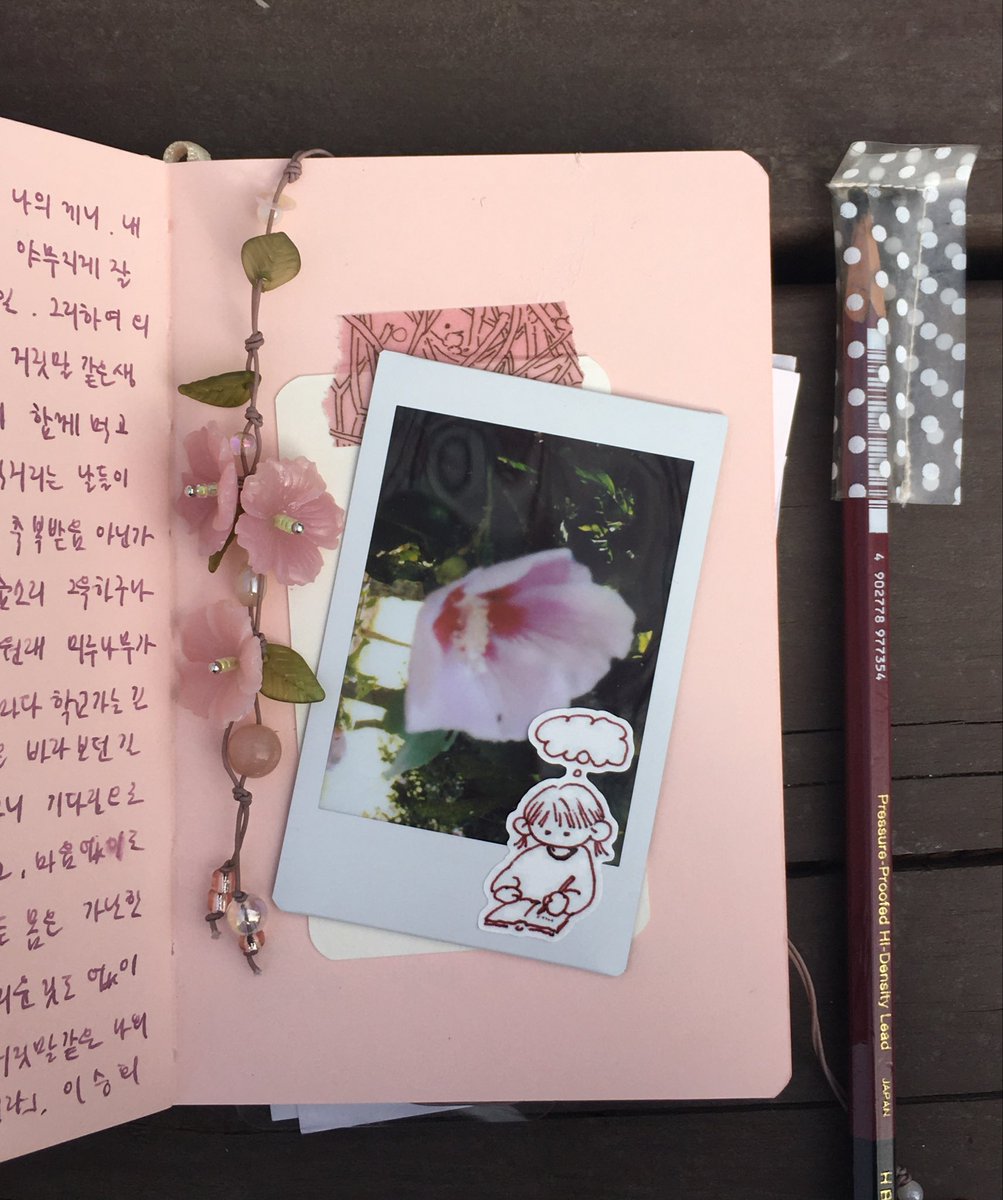 연록 tweet media