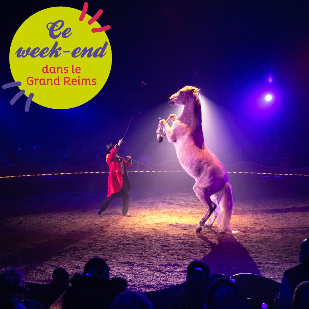 Grand Reims tweet media