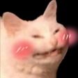 erika 🍋 Wishlist RoboCat Café on Steam😺 tweet media