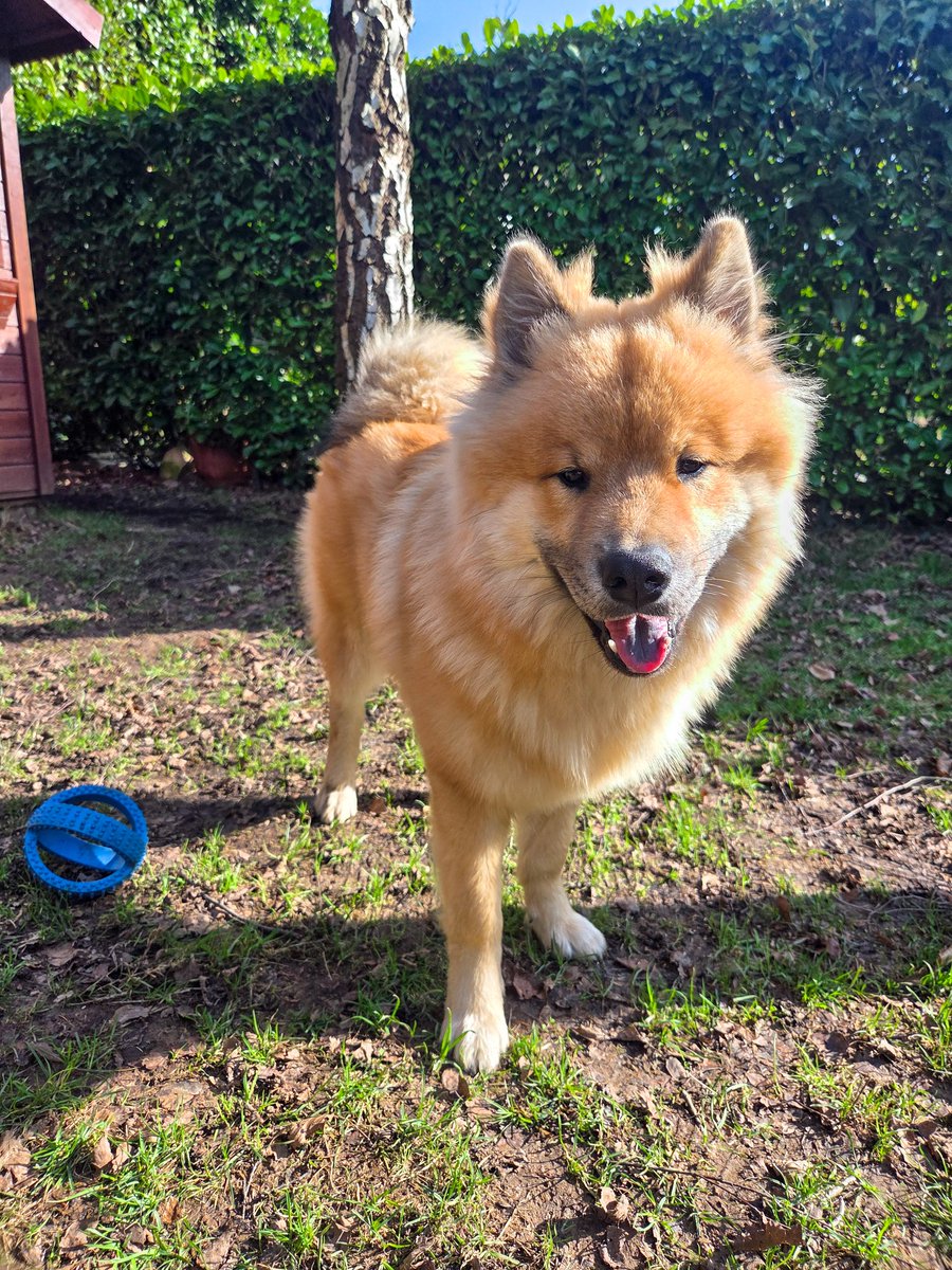 Embey 🪻🐝 tweet media