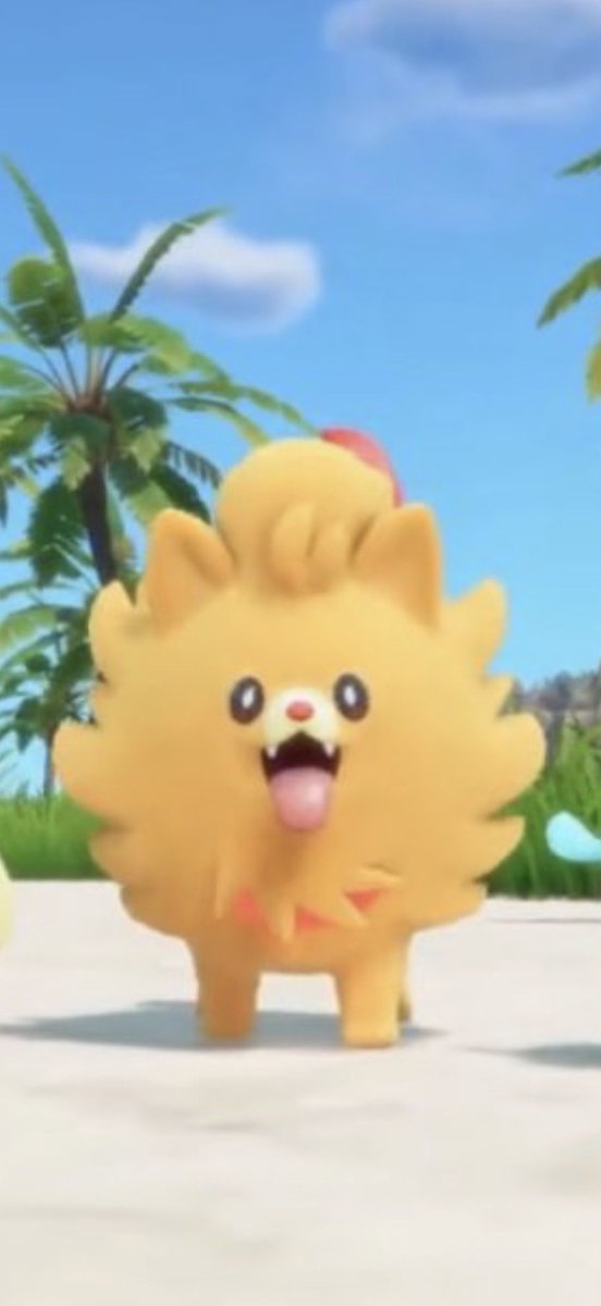 ItsMarcusPerez's tweet photo. I will give my life for Pombon.
#PokemonWindsWaves https://t.co/XT2Ec0Jies