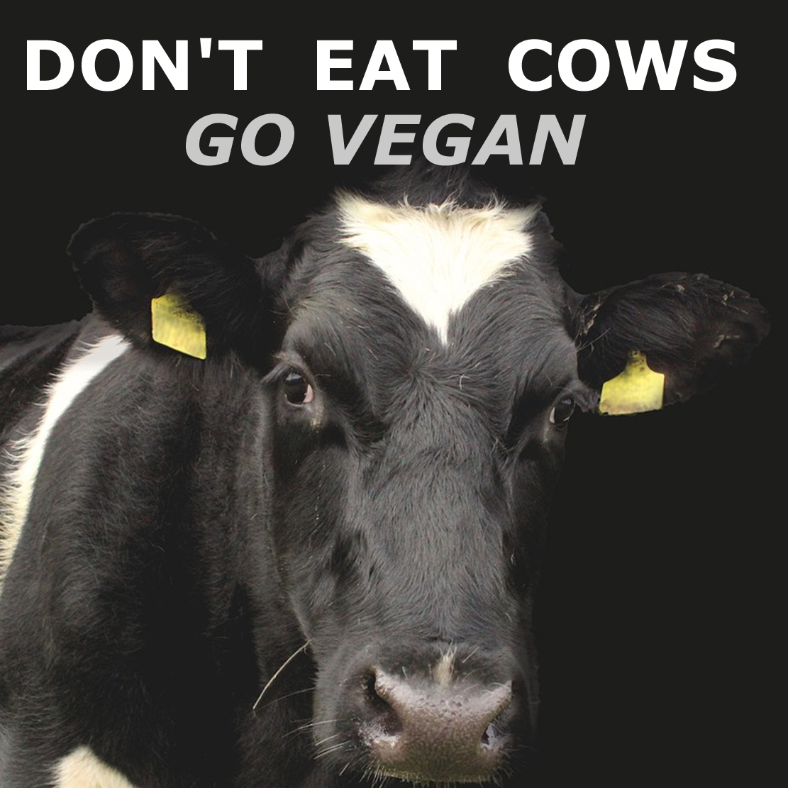 Don't eat cows. #GoVegan