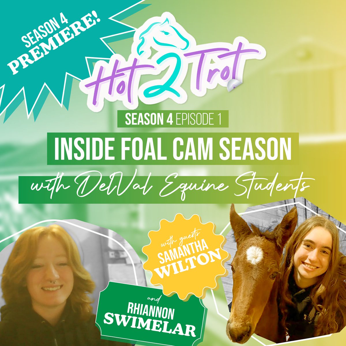 PennHorseRacing tweet media