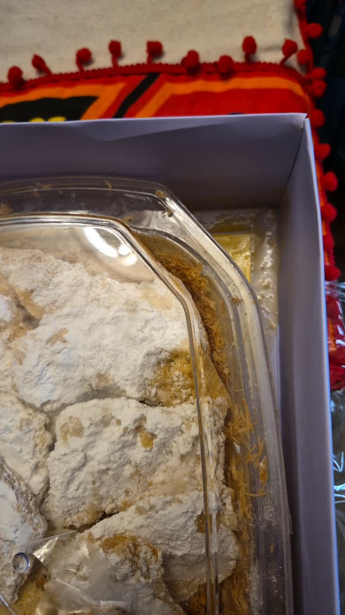 Mohamed Amr tweet media