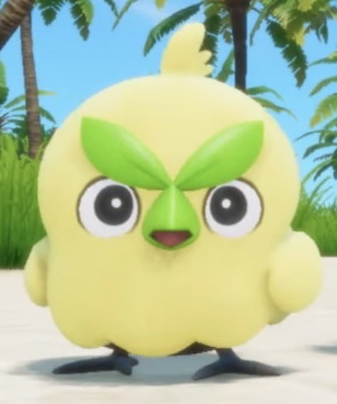 Jared Schuh tweet media