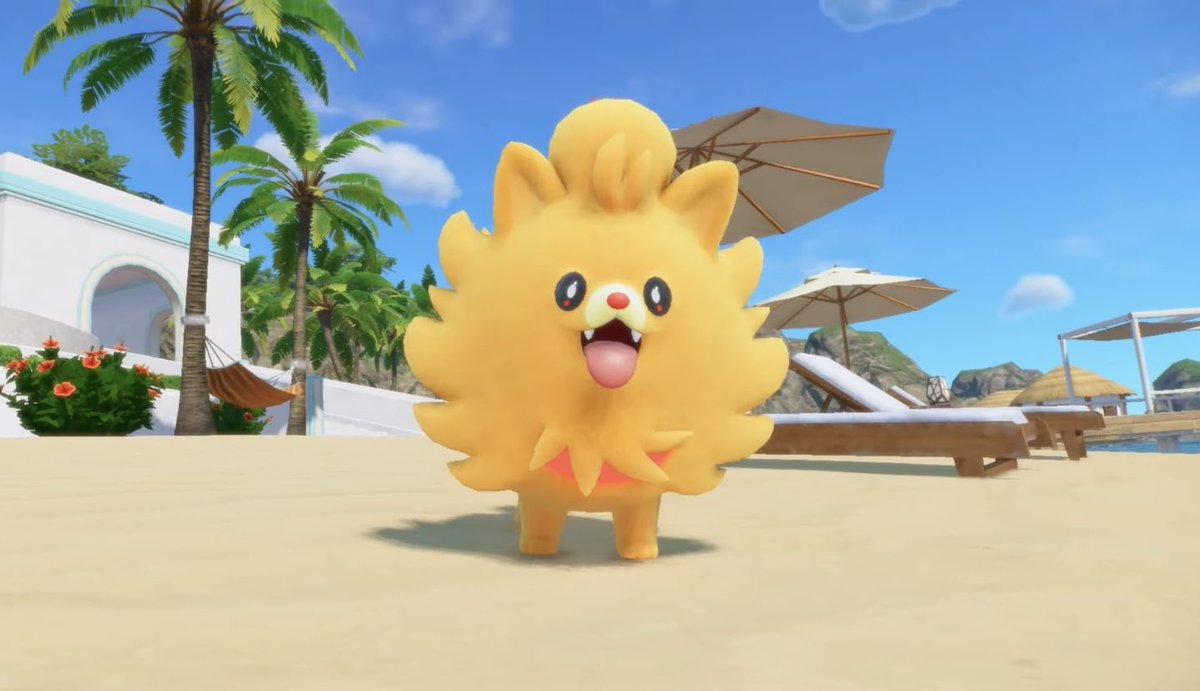 wolfychuuu's tweet photo. I LOVE POMBON!!!! https://t.co/0QwbBtWC76