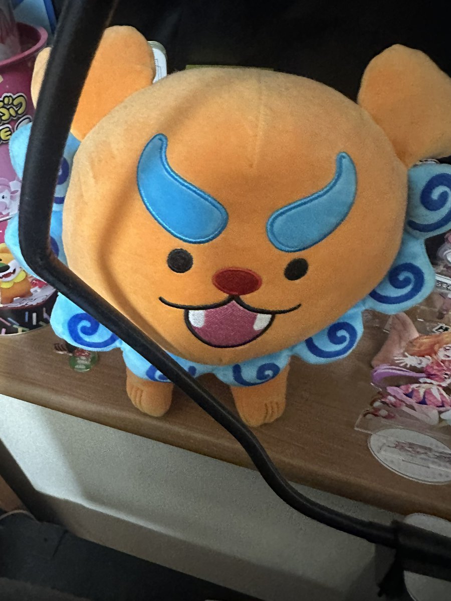 Dcdv0318's tweet photo. これは俺の家のポムケン https://t.co/OMUpXYVG80