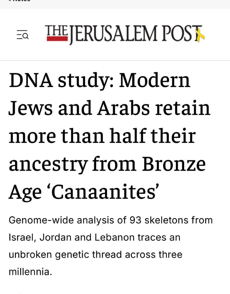 Michael Andrew tweet media