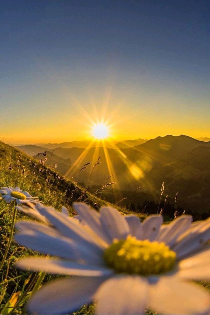 have a great evening to all homies