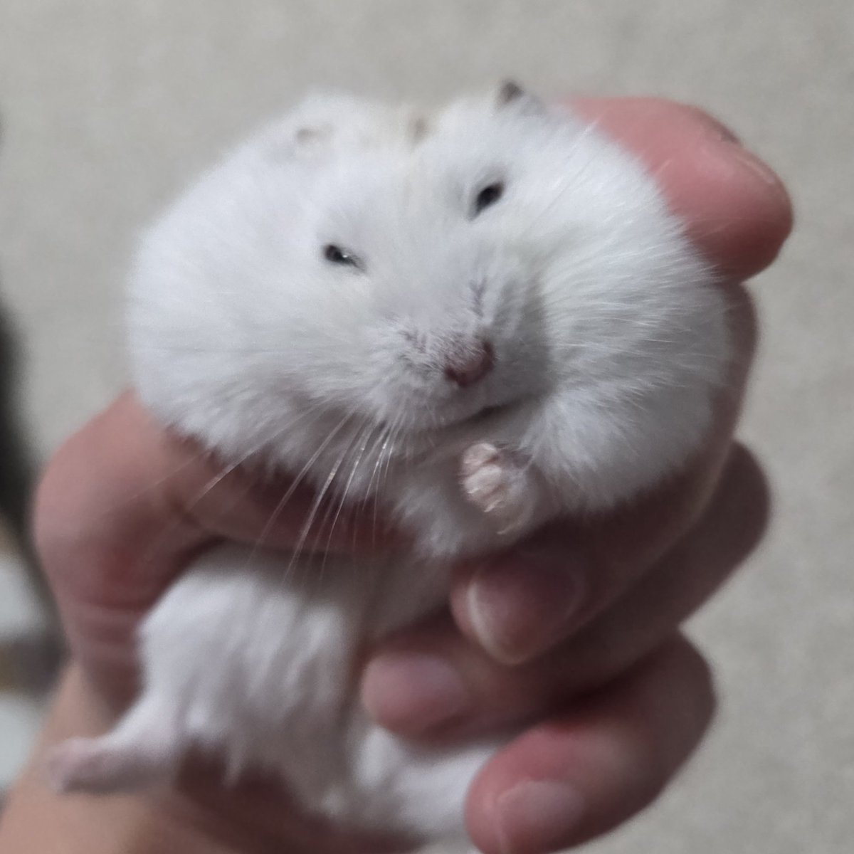 一杯やってく？