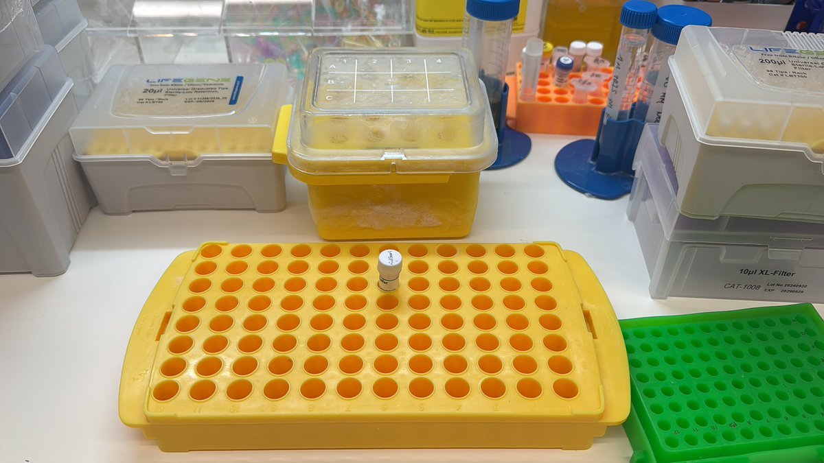 Mathias L. Nielsen tweet media