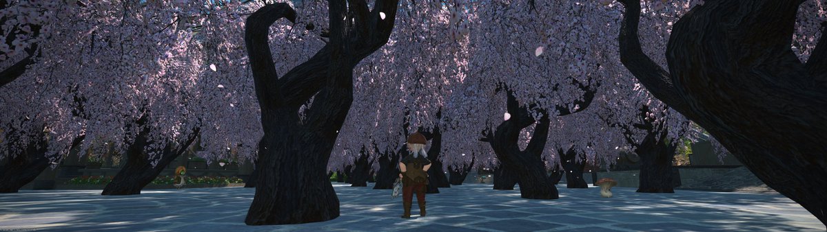 無人島に桜生やしてみたけど生やしすぎたｗ