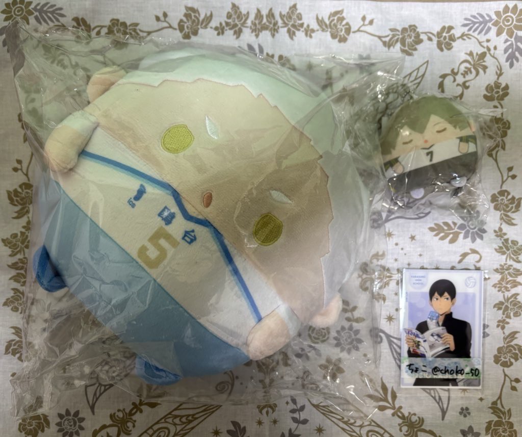 【交換/譲渡】ハイキュー  ぬいくじ

譲》
C賞…星海
E賞…木葉

求》C賞、D賞  影山or侑
又は定価＋送料

郵送のみ
初回はリトリン確認

お気軽にお声掛けください◎