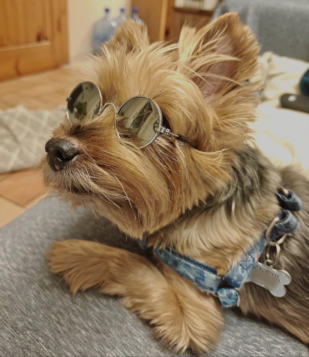 Anderlex tweet media