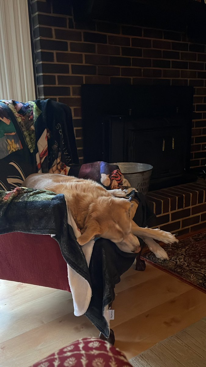 Fried Green Tomato 🍅 tweet media