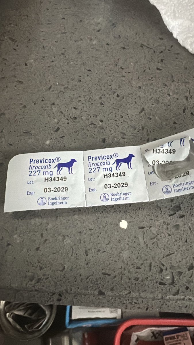 Veteriner takipçim var mı? Bu ilacı bulmam için yardım eder misiniz? Durum çok acil, mesaj kutum açık lütfen ulaşın.