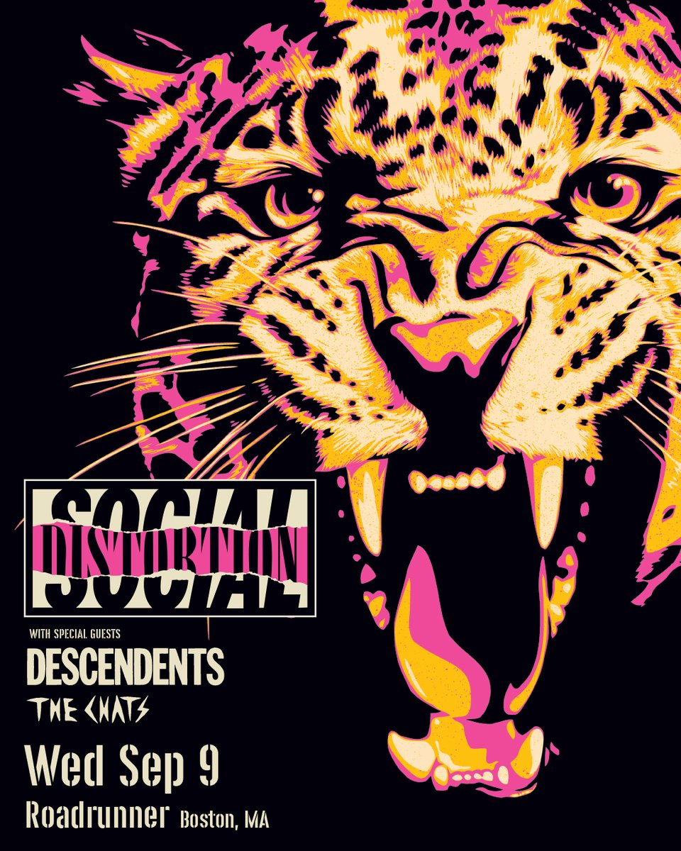 Roadrunner tweet media