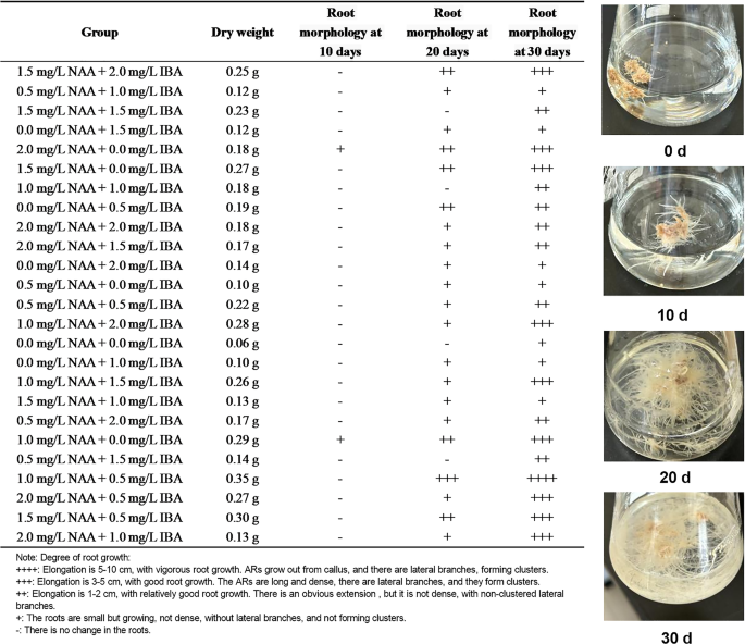 Plant Cell, Tissue and Organ Culture tweet media
