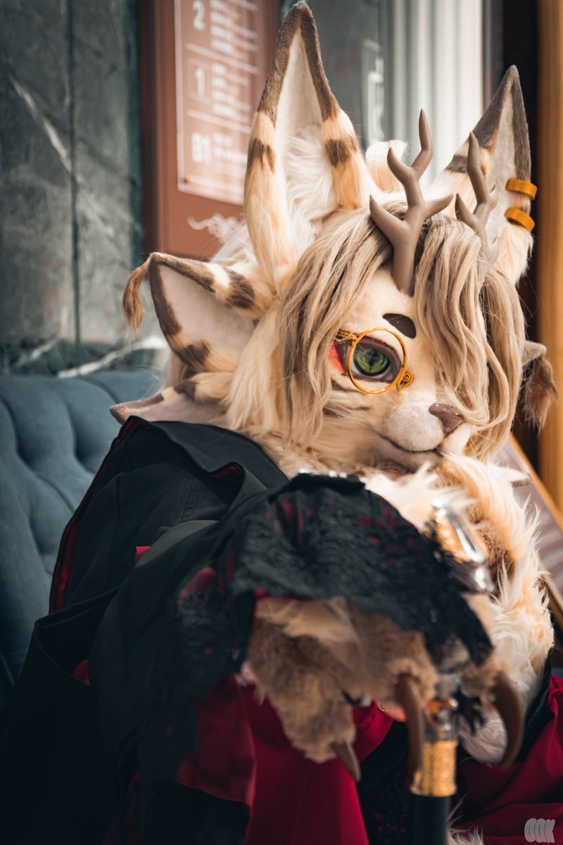 ……何を見ているのですか。

📷：<a href="/Oak115202/">Oak_intheworld</a> 
#fursuit 
#FursuitFriday
#FursuitEveryday