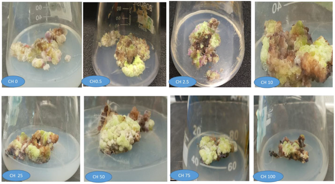 Plant Cell, Tissue and Organ Culture tweet media