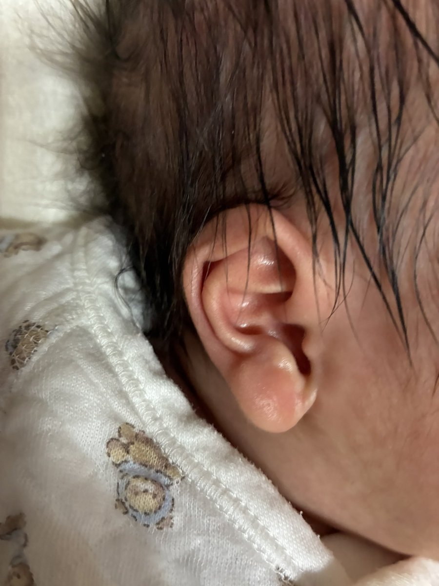息子に夫婦の力を試されているように思う。こうして家族の絆は強くなっていくのか。

#育児日記 
#パパに似て福耳