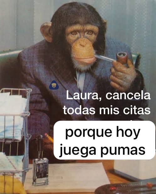 mauriazul (@mauriazui) on Twitter photo 