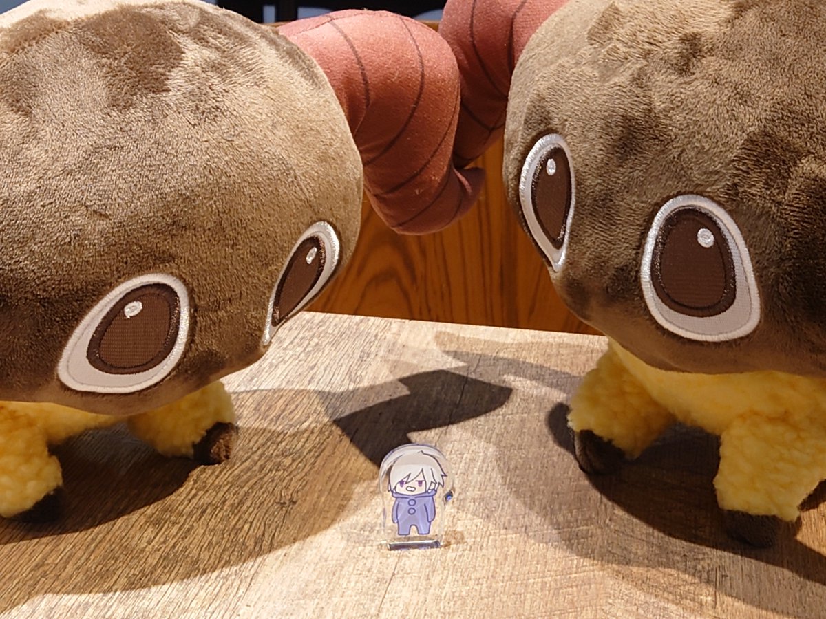 もるもる🐉7.4Spoiler🐏 (@b_mrmr02) / Posts / X