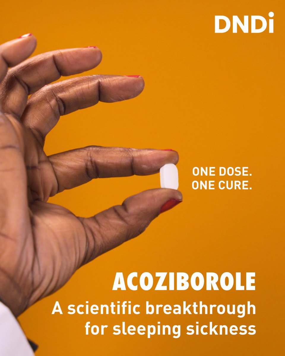 MSF East Africa tweet media