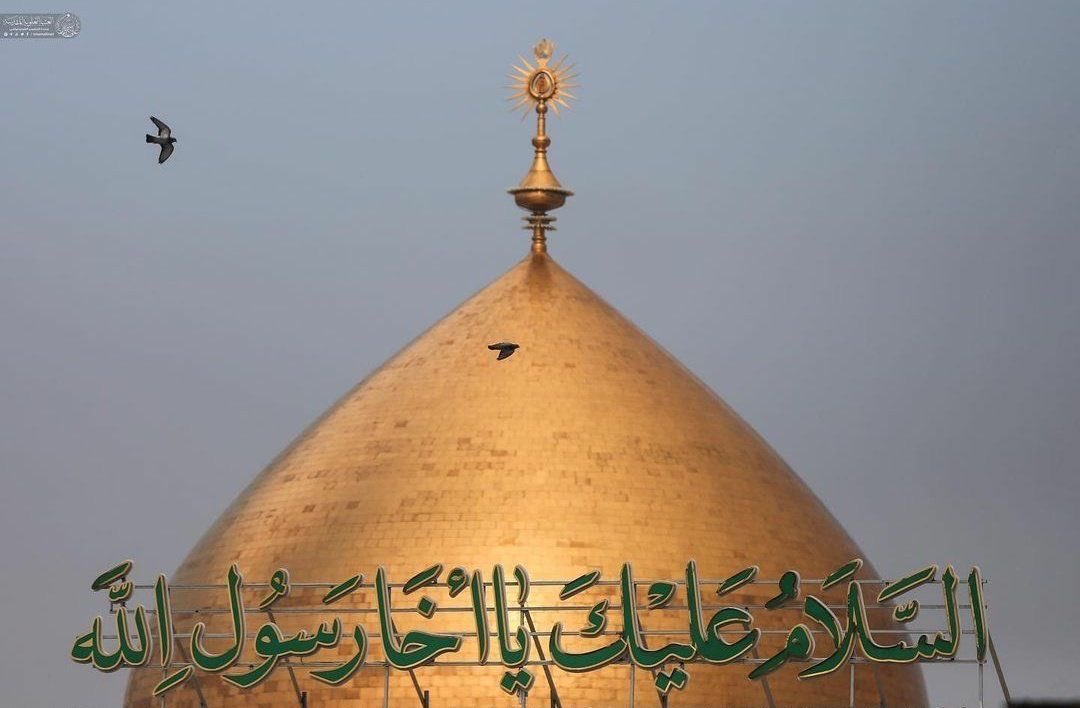 🕊️سلام بر پدرِ امامانِ پاک، مولا امیرالمؤمنین.