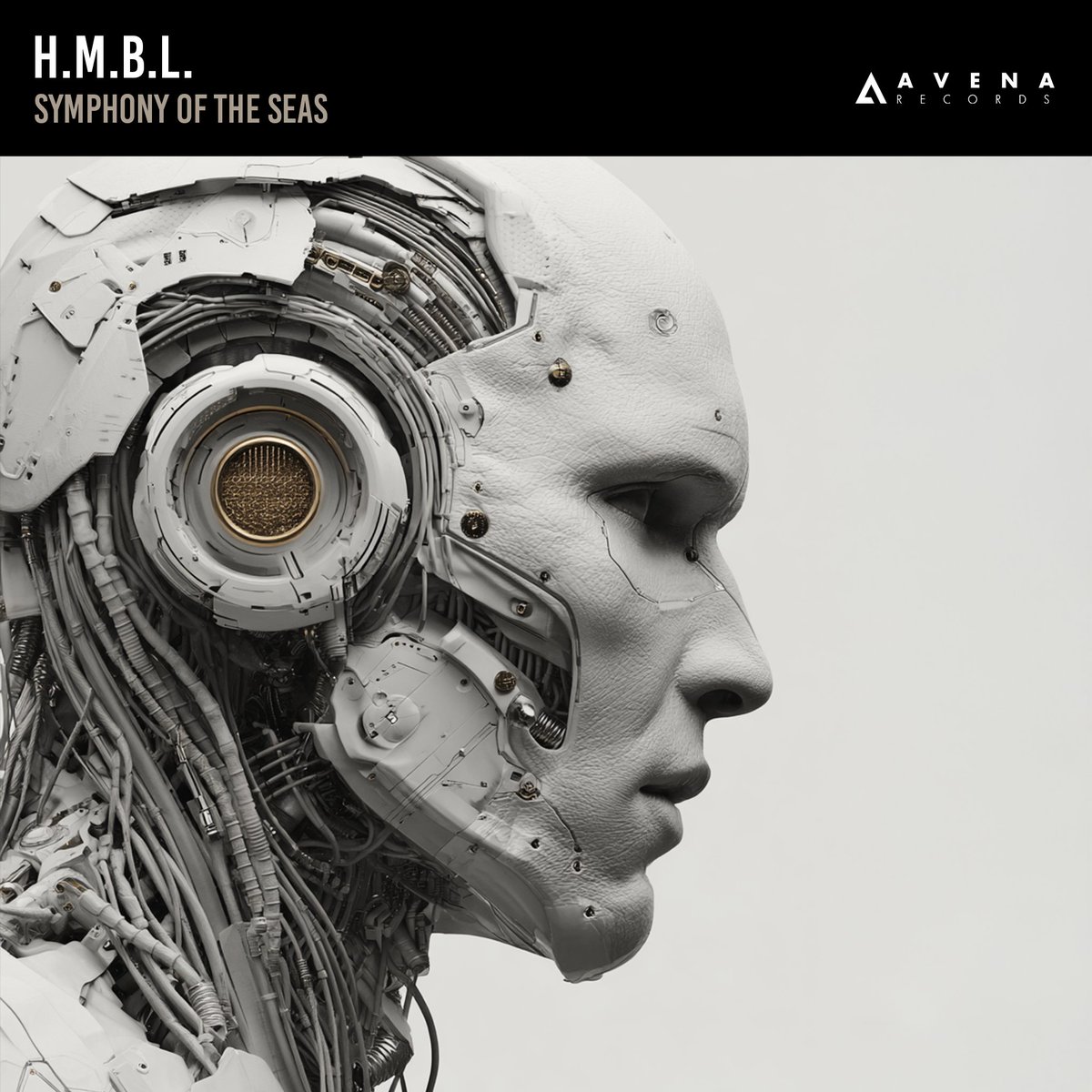 Avena Records tweet media