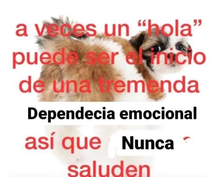 𓂃˖˳·˖ ִֶָ ⋆𝓫𝓮𝓴𝓪𝓪⋆ ִֶָ˖·˳˖𓂃 ִֶָ (@b3k4thh) on Twitter photo 