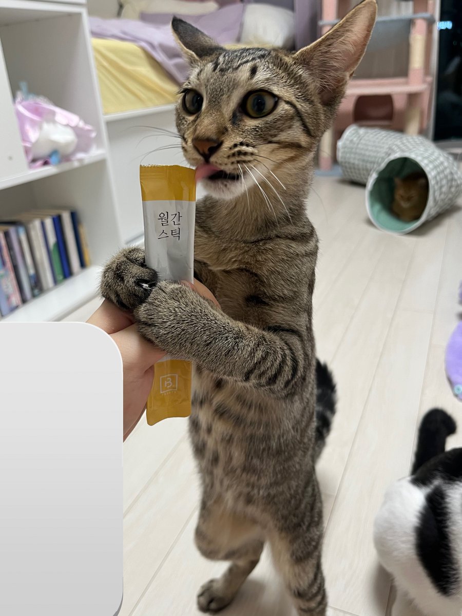 아 진짜 웃기게 ㄴ