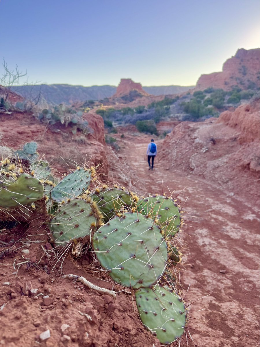 x - Alison 🌾 tweet media