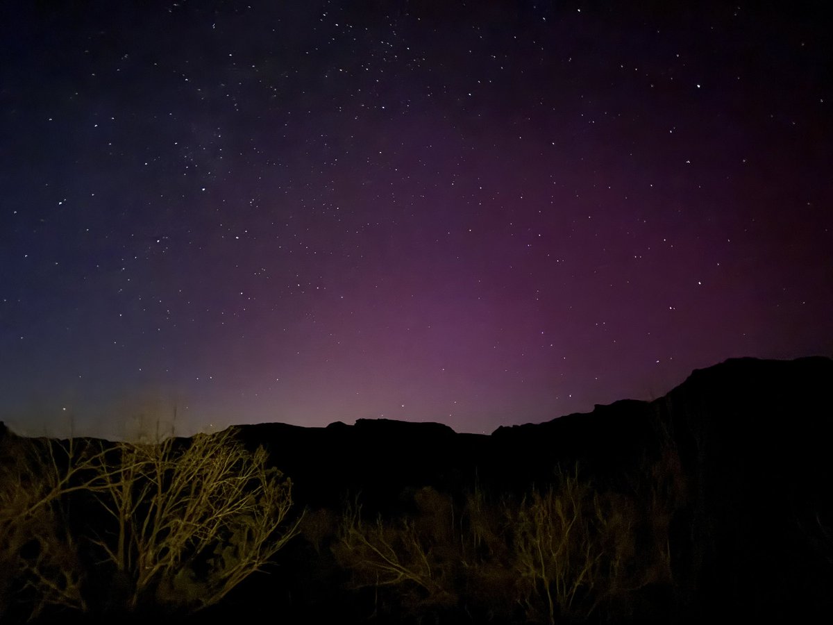 x - Alison 🌾 tweet media