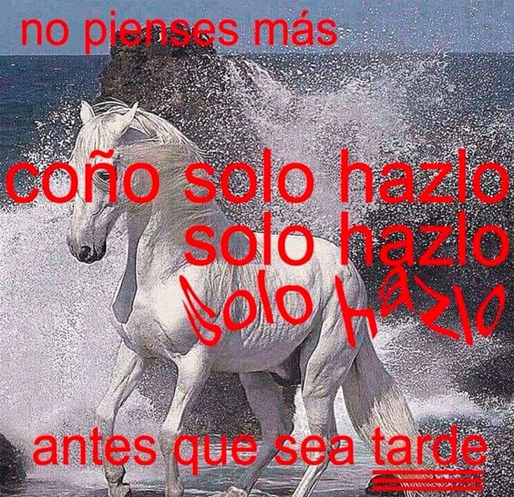 𓂃˖˳·˖ ִֶָ ⋆𝓫𝓮𝓴𝓪𝓪⋆ ִֶָ˖·˳˖𓂃 ִֶָ (@b3k4thh) on Twitter photo 