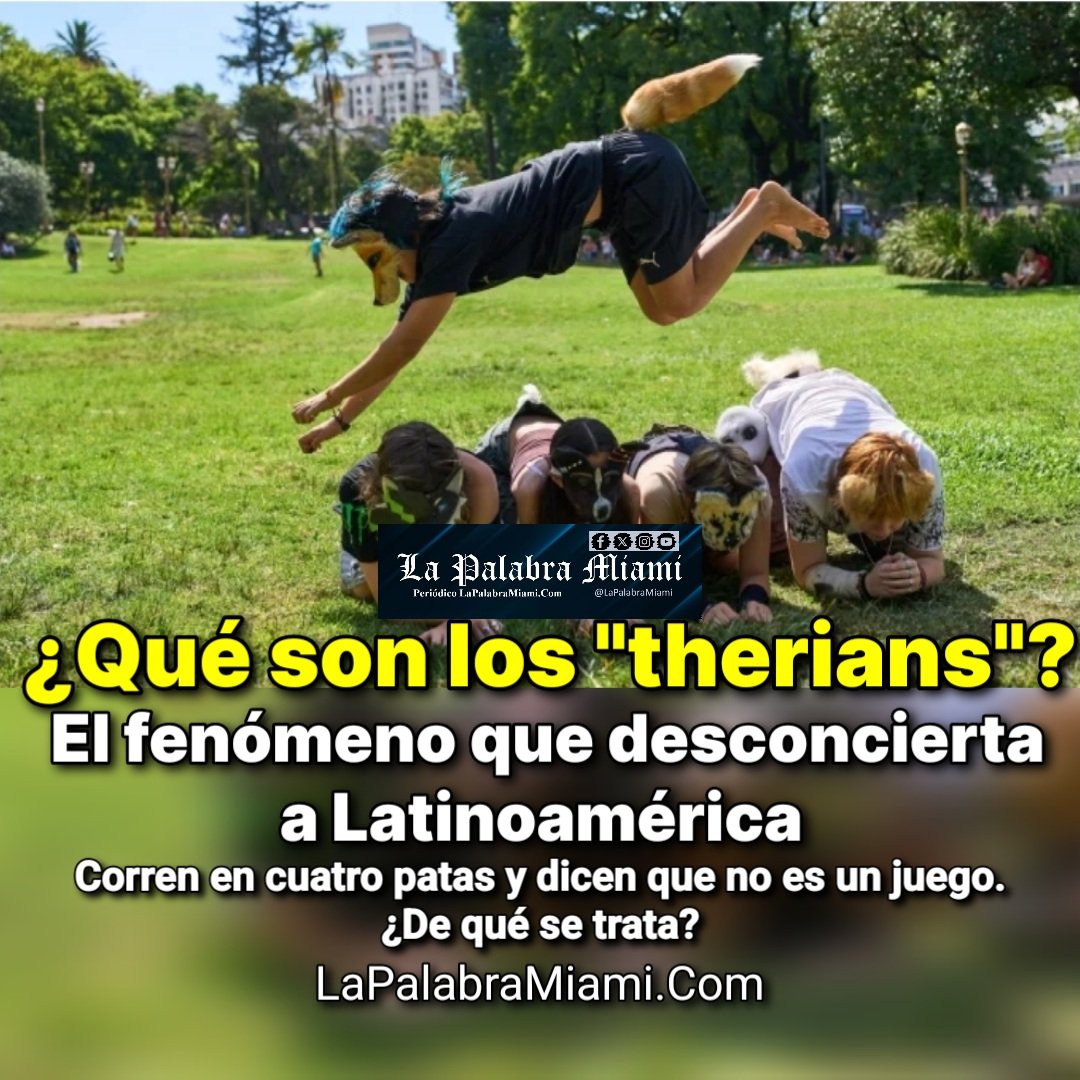 ¿Qué son los "therians"?
El fenómeno que desconcierta a A Latina

Saltan, usan máscaras, colas y otros accesorios que representan animales como perros, lobos, gatos o zorros y recrean comportamientos que, según dicen, son parte de su identidad.
Más: LaPalabraMiami.com