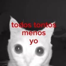 𓂃˖˳·˖ ִֶָ ⋆𝓫𝓮𝓴𝓪𝓪⋆ ִֶָ˖·˳˖𓂃 ִֶָ (@b3k4thh) on Twitter photo 